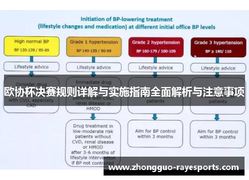欧协杯决赛规则详解与实施指南全面解析与注意事项 欧协杯决赛规则详解与实施指南全面解析与注意事项